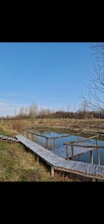Kuća za odmor Drava - - 9