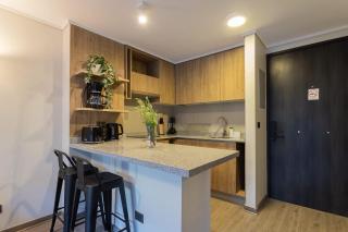 Discover the city Ideal for 3 people - Santiago - 2