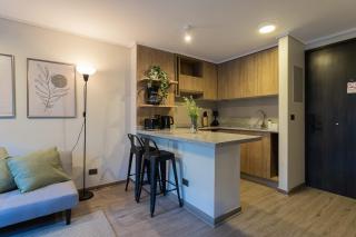 Discover the city Ideal for 3 people - Santiago - 5