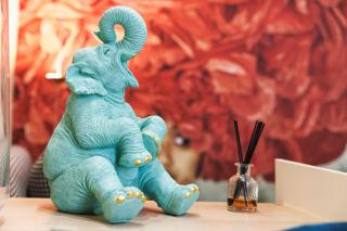 Bohème eyes - Bordeauxlidays - 9