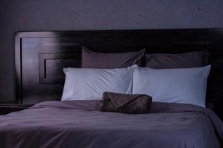 Thulamahashe Guest farm - Thulamahashi - 7