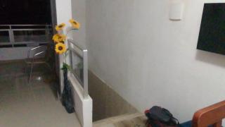 Acomodação no Centro de Japaratinga - 0