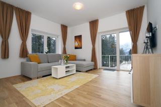 SCHUSTER's ALPENPANORAMA - Seewiesen - 7