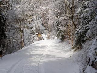 Doppelhaushaelfte in Hasselfelde - Hasselfelde - 6