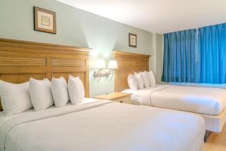 Oceanfront 1BR Suite! Perfect For 8 Guests!- Pinnacle Tower 1456 - Myrtle Beach - 4