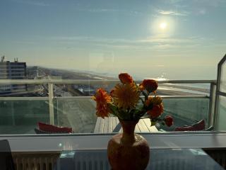 Piano Apartment - Zandvoort - 0