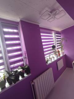 Sophia's Home - 1