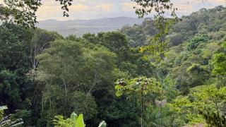 Suíte na montanha - Recreio dos Bandeirantes - entrada independente, com vista pra Floresta - Engenho Novo - 4
