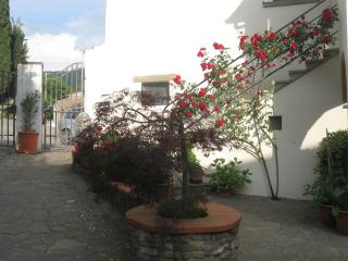 B&B Casa Delle Rose - 8