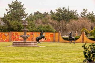 Rancho Verde - San Mateo Texcalyacac - 7
