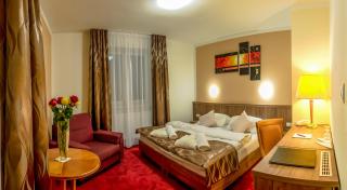 Wellness Hotel Hluboký Dvůr - Hrubá Voda - 9