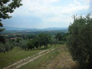 B&B Casa Delle Rose - 2