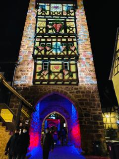 Suite Richovilare - Sauna & Hammam - Riquewihr - 7