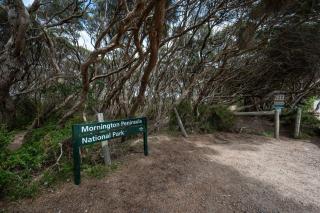 Family Beach Retreat With Heated Pool Blairgowrie - Blairgowrie - 5