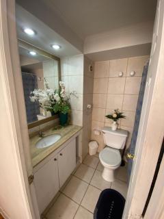 Departamento Impecable - Santiago - 4
