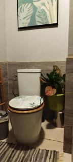 Chambre d'hôtes avec piscine petit déjeuner offert - Bora Bora - 7