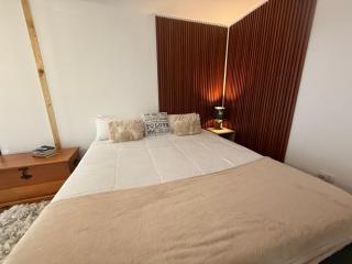 Beehouse Colmena - Villa Alemana - 5
