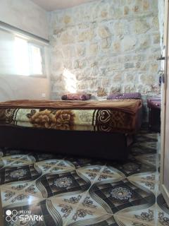 Dana moon hotel - Dana - 2