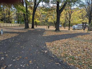 Sister Lakes Glamping Cabin at Wonder Woods #3 - 8