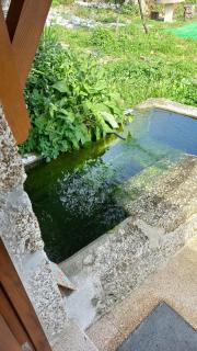 Casa das Fragas - Celorico de Basto - 3