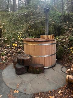 Magical Yurt in the woods - 2 miles from town - Nevada City - 1