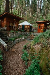 Magical Yurt in the woods - 2 miles from town - Nevada City - 8