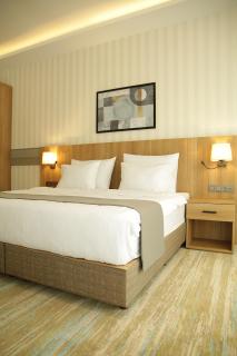 Tress Hotel - Istanbul - 1