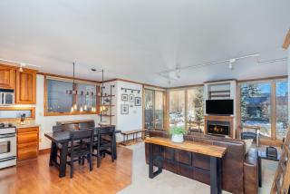 Telluride Lodge 329 condo - 9