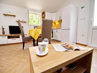 Apartments Memuni - Standard One Bedroom Apartment with Partial Sea View NOVI - Ston - 9
