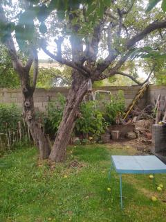 Bungalito Luzmira - Esquel - 4