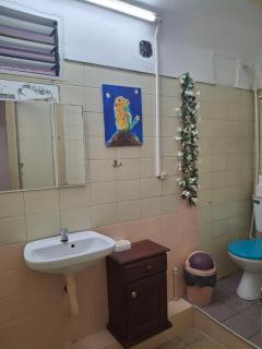 Casa Historica Amelie - 3