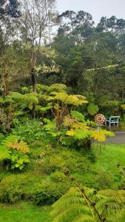 ʻOhiʻa Lehua Forest House - 7
