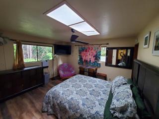 ʻOhiʻa Lehua Forest House - 1