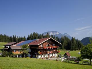 Wooden Apartment with mountain view - Hopfgarten im Brixental - 5