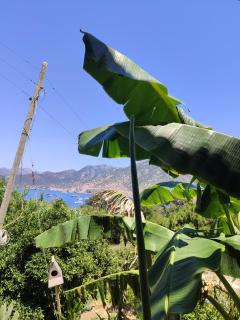 DURU selimiye konukevi - Selimiye - 7