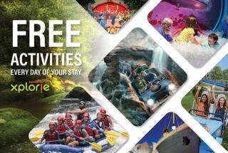 Dolly's Cozy Cabin, Hot Tub, 1089 of FREE Attraction tickets for each paid day, Dollywood and More - Sevierville - 9