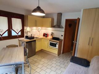 Appartement Châtel 5 pers, proche télésiège - FR-1-676-209 - 8