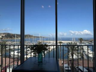 Studio à Banyuls-sur-Mer avec climatisation - FR-1-225C-159 - Banyuls-sur-Mer - 0