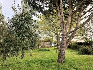 Maison rénovée à Saint-Georges-d'Oléron, 6 pers, proche pistes cyclables - FR-1-246A-344 - Saint-Georges-dʼOléron - 1