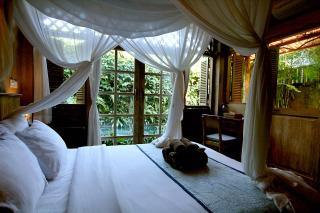 Artist Eco Villa In Ubud Bali - 2