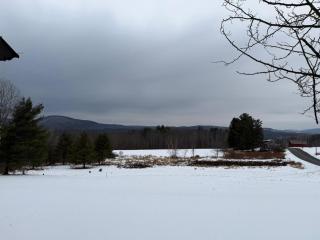 Cabin Perfect for Nature Lovers - Stephentown - 3