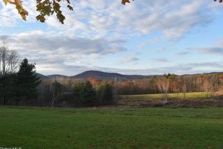 Cabin Perfect for Nature Lovers - Stephentown - 2