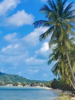 LInks Paradise House - Amphoe Koksamui - 7