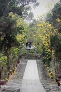 Pine Garden Homestay Hue - Hue - 8