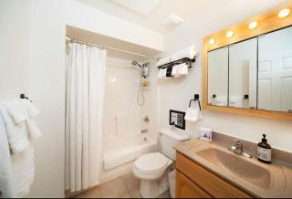 Breck Ski Chalet 4br 3ba 10 person Hot Tub Starlink Xbox - 1