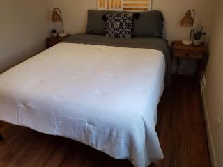 South Side Chic 3Br 1Ba 10mn to McConnell Spirit - 3