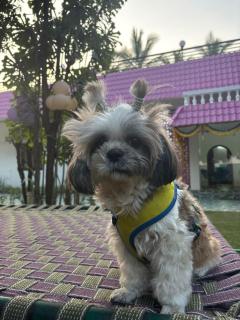 Kuteeram - Create Memories - 8