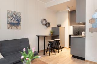 Cozy Riia kvartal apartment with free parking and air conditioning - 6