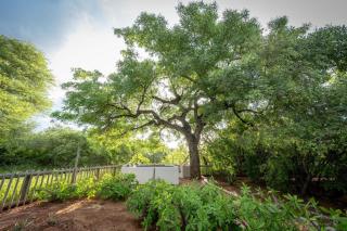 eKhaya Bush Lodge - Hoedspruit - 8