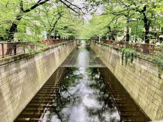 A Cosy Daikanyama Stay at the Anime Sanctuary - 6